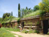 Etruscan necropolis Orvieto
